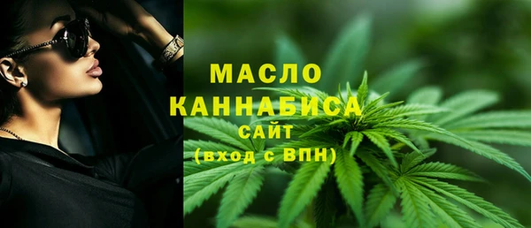 mix Богородицк