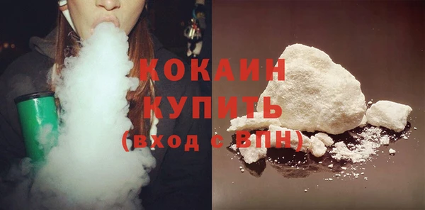 mix Богородицк