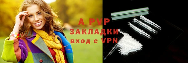 МДПВ Богородск