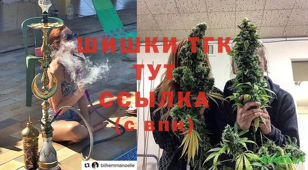 mix Богородицк