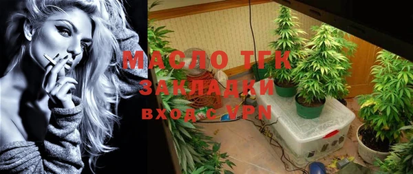 mix Богородицк