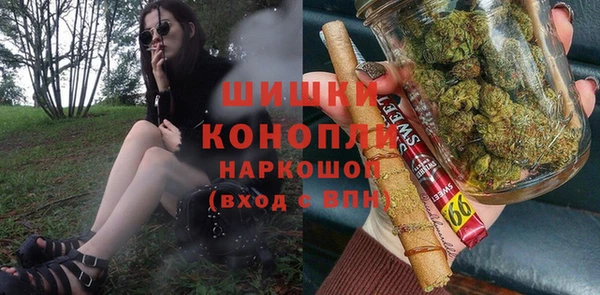 mix Богородицк