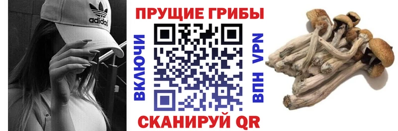 гидра   Добрянка  Галлюциногенные грибы мухоморы 